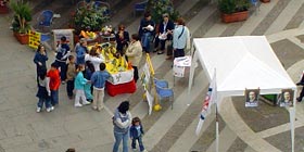 Rajolas a flors i flors de rajolas, giovani artisti in Piazza Sventramento