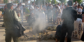 La vetrina più bella per i Focs de Sant Joan
