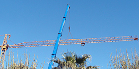 Cagliari: gru sfonda finestra