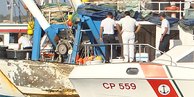 Squalo toro nel Golfo. Ricerche della Capitaneria