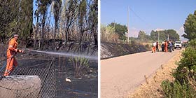 Alghero, Ungias: Serre in fiamme