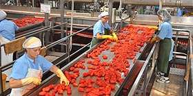 Regione: incentivi estesi all´agroindustria