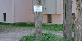 Per vendere il motorino inchioda un albero