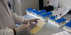 Ogm made in China, controlli Zooprofilattico