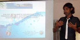 Focus sulla Patella ferruginea