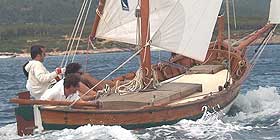 Vela latina 2009: Vincitori e vinti