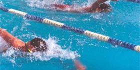 Nuoto: Green Alghero grande protagonista