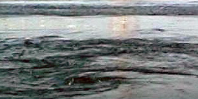 10mila litri olio in mare: tavolo tecnico