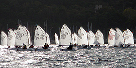Optimist, 420 e Laser domenica in rada