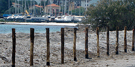 Erosione costiera: se ne parla al Parco