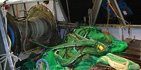 Cercasi pescatori per il 22 ottobre