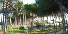 Operazione dei barracelli contro il vandalismo