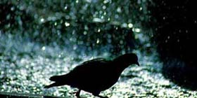 Due gocce e la città va sott’acqua