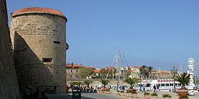 Riposizionate le fioriere e la segnaletica nell’area del porto