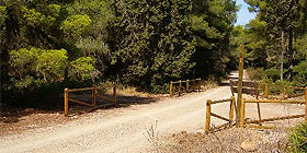 <i>Green worker</i>, corso al Centro Salute Mentale