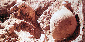 Tuvixeddu all´Unesco, appello alla Giunta