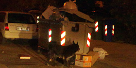 Rifiuti e sporcizia a Fertilia 