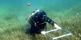 Habitat: monitoraggio Amp a Porto Conte