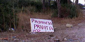 Campo Rom: pineta 