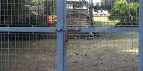 «Lubrano riapra la villa romana»