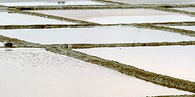 Convegno storico sulle saline della Nurra