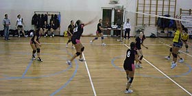 Volley: Gymnasium vincente