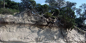 Spiagge, disastro annunciato