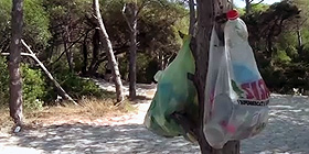 Task-force contro vandali in Pineta
