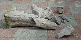 Atti vandalici, demolite due statue in trachite a Fertilia