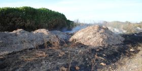 Via sterpaglie entro il 15 giugno. Multe ai cagliaritani distratti