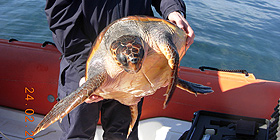 Asinara: <i>Tartalife</i> incontra studenti e pescatori