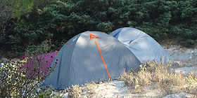 Assalto alla Pineta, Vigili in azione