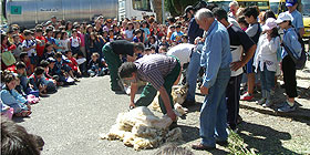 Festa della tosatura in borgata