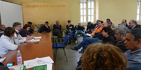 Peste suina, unit di crisi a Sassari