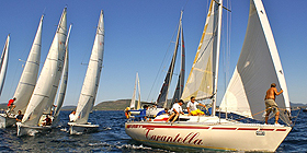 Vela col Trofeo Cruise Service