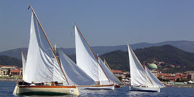 Stintino capitale della vela latina