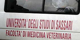 Chiuso il Dipartimento di Medicina veterinaria Uniss