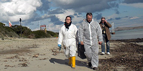 Catrame a Stintino, perlustrazione spiagge