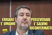 La vignetta di Vukic