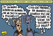 La vignetta di Vukic