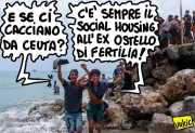 La vignetta di Vukic